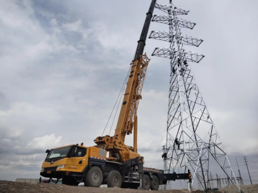 宁夏仙人掌视频app污版试验含有什么内容